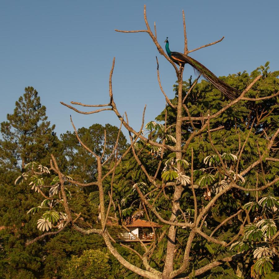 Fazenda Capoava Villa Itu Buitenkant foto