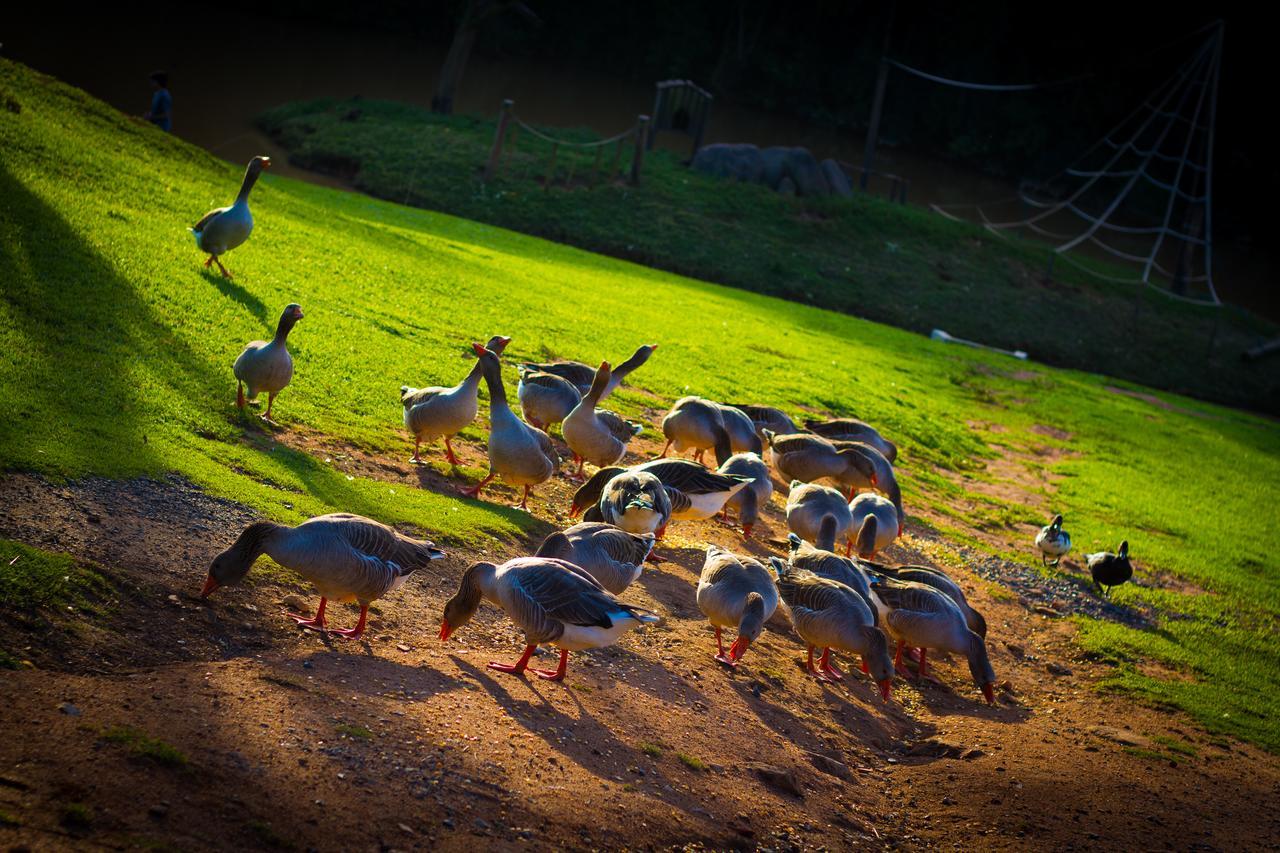 Fazenda Capoava Villa Itu Buitenkant foto