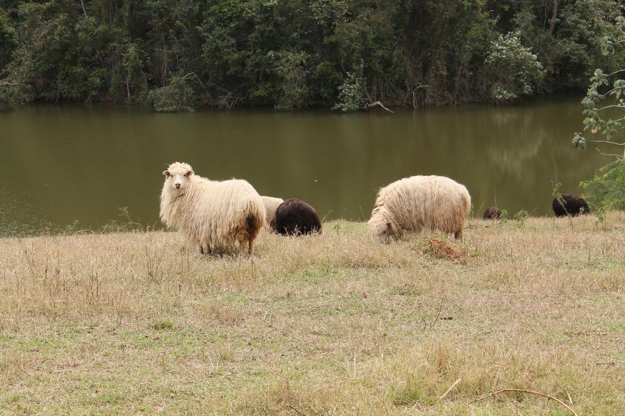 Fazenda Capoava Villa Itu Buitenkant foto